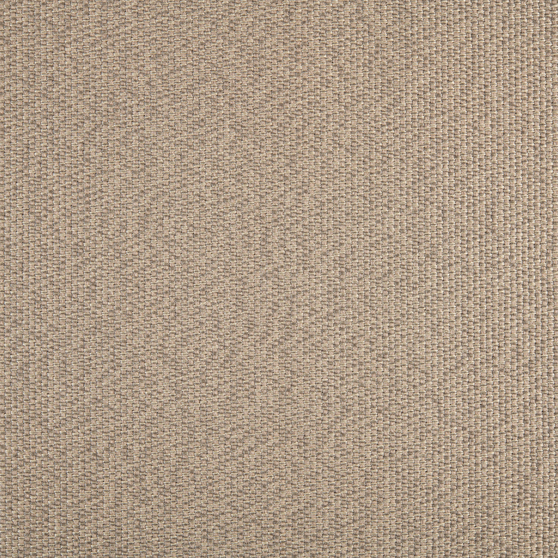 1010_AG_ ESPARTO GRASS