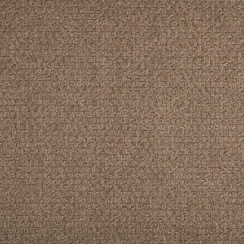 1036_AG_SENDA AVELLANA