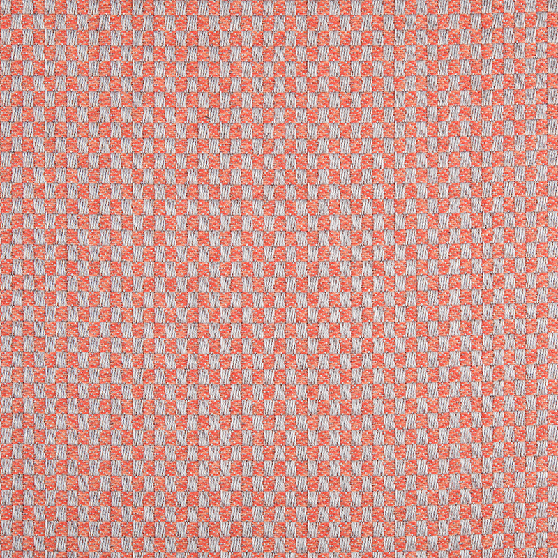 1039_AG_SENDA SALMÓN