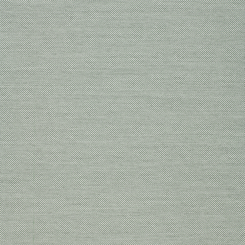 20081_AGORA_PANAMA_SALVIA web