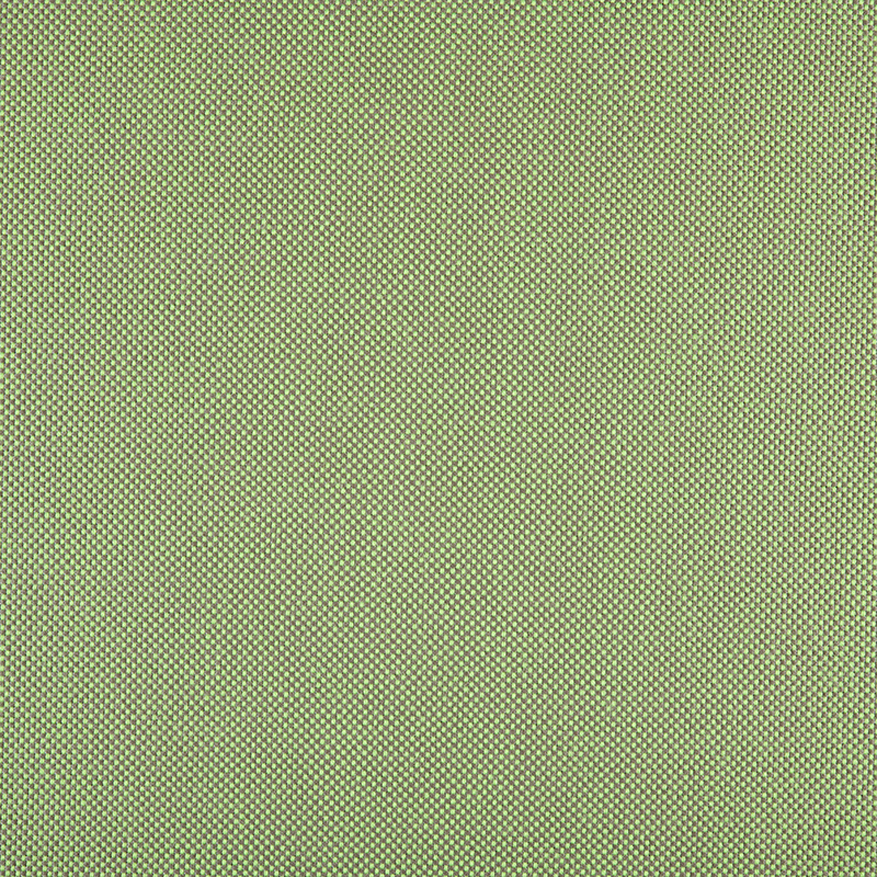 3665_AG_PANAMA_GRASS