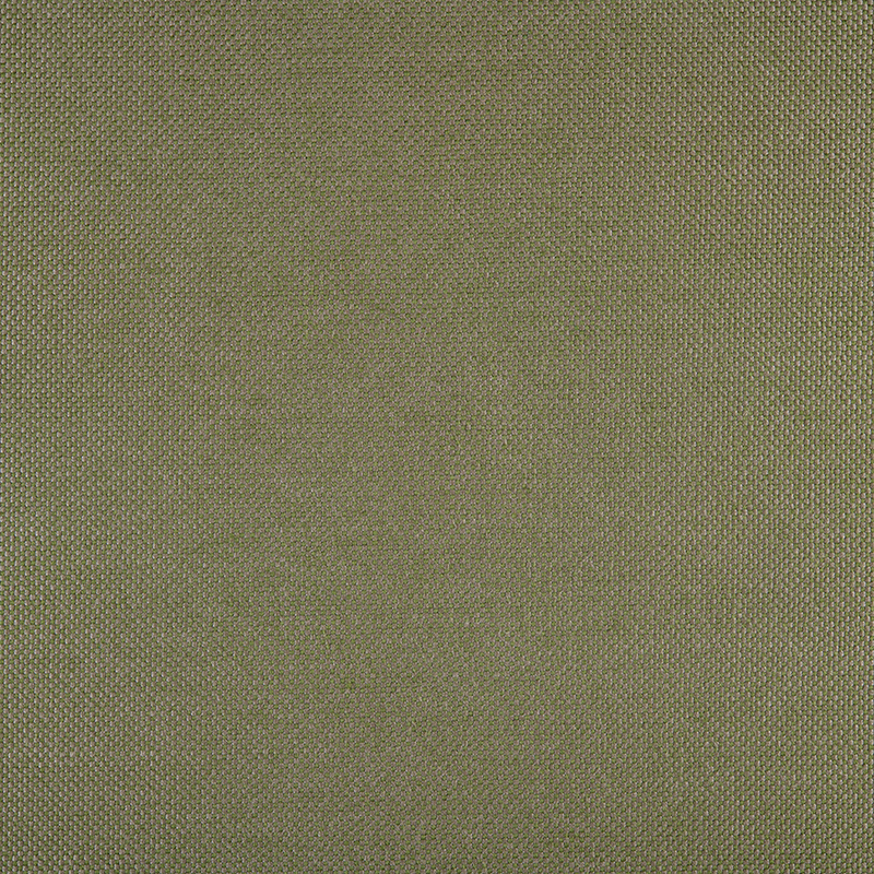 3667_AG_PANAMA_ALGAE