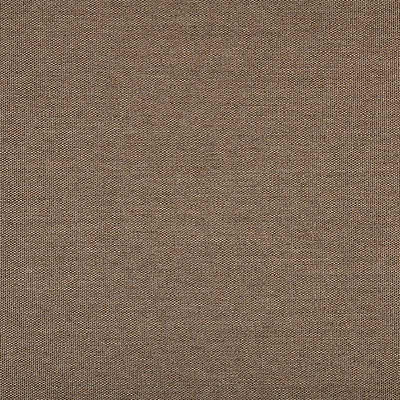 3836_AG_LISO137_COCO