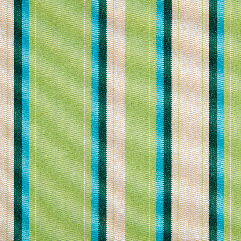 3954_AG_ABACO_BOTANIC