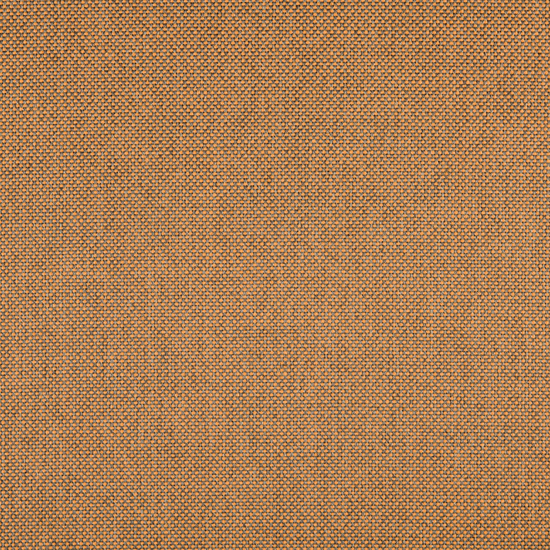 8000_AG_PANAMA_TANGERINE