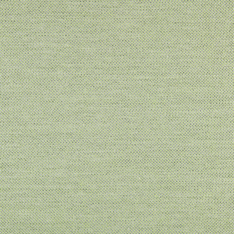 8004_AG_PANAMA_MENTA