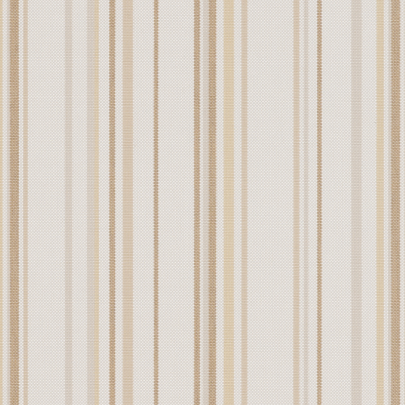 8016_AG_THUNDER_BONE