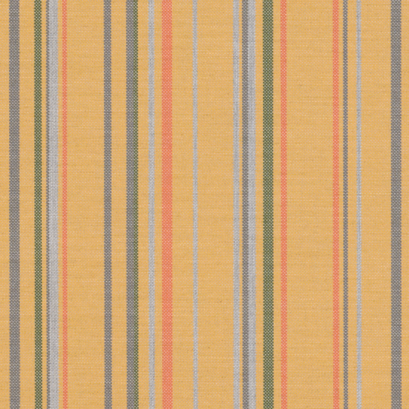 8024_AG_THUNDER_MUSTARD