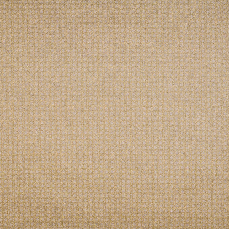 20625PF_AG_MIMBRES_ARENA web