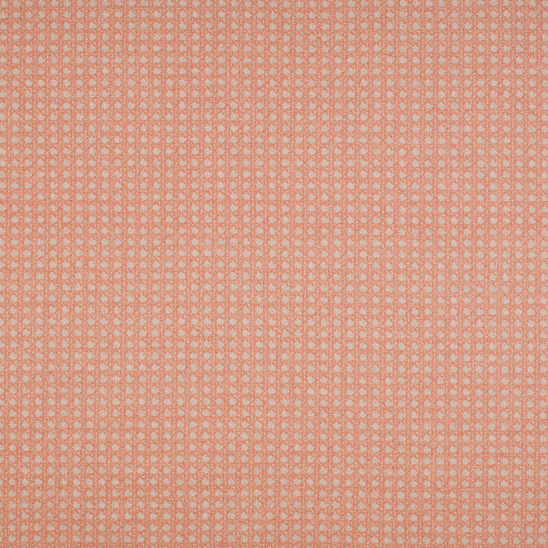 20627PF_AG_MIMBRES_CORAL web