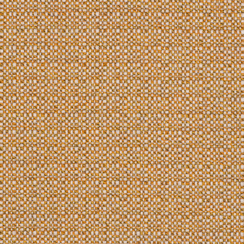 20584_AG_ZARIA_ALBERO