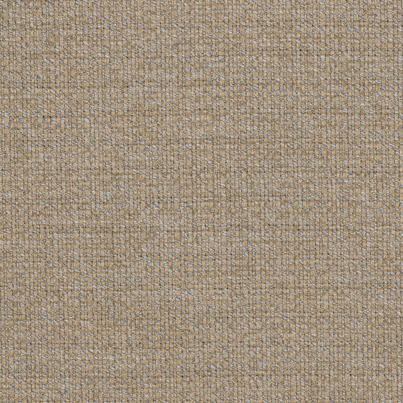 20588_AG_ZARIA_FOSSIL