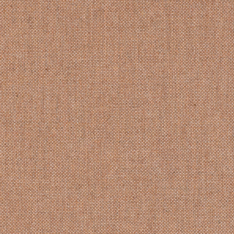 20866_AG_LIFE_PANAMA STARFISH