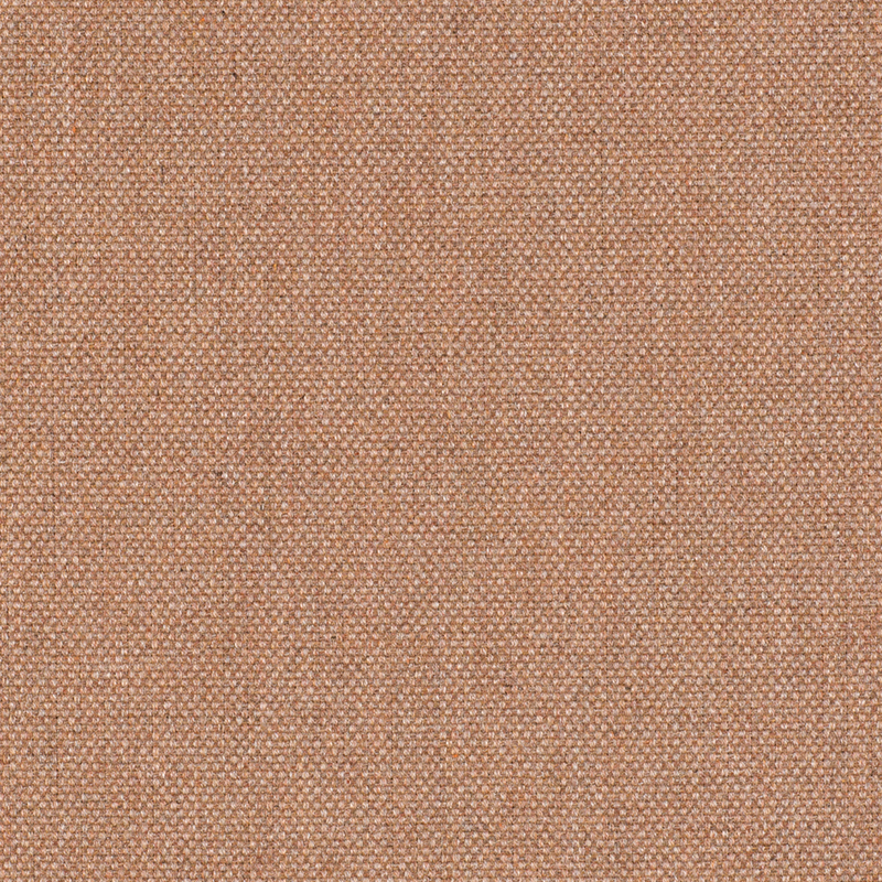 20881_AG_LIFE_OMOMI STARFISH