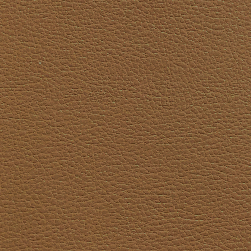 20930_AG_CHARM_FUNGI