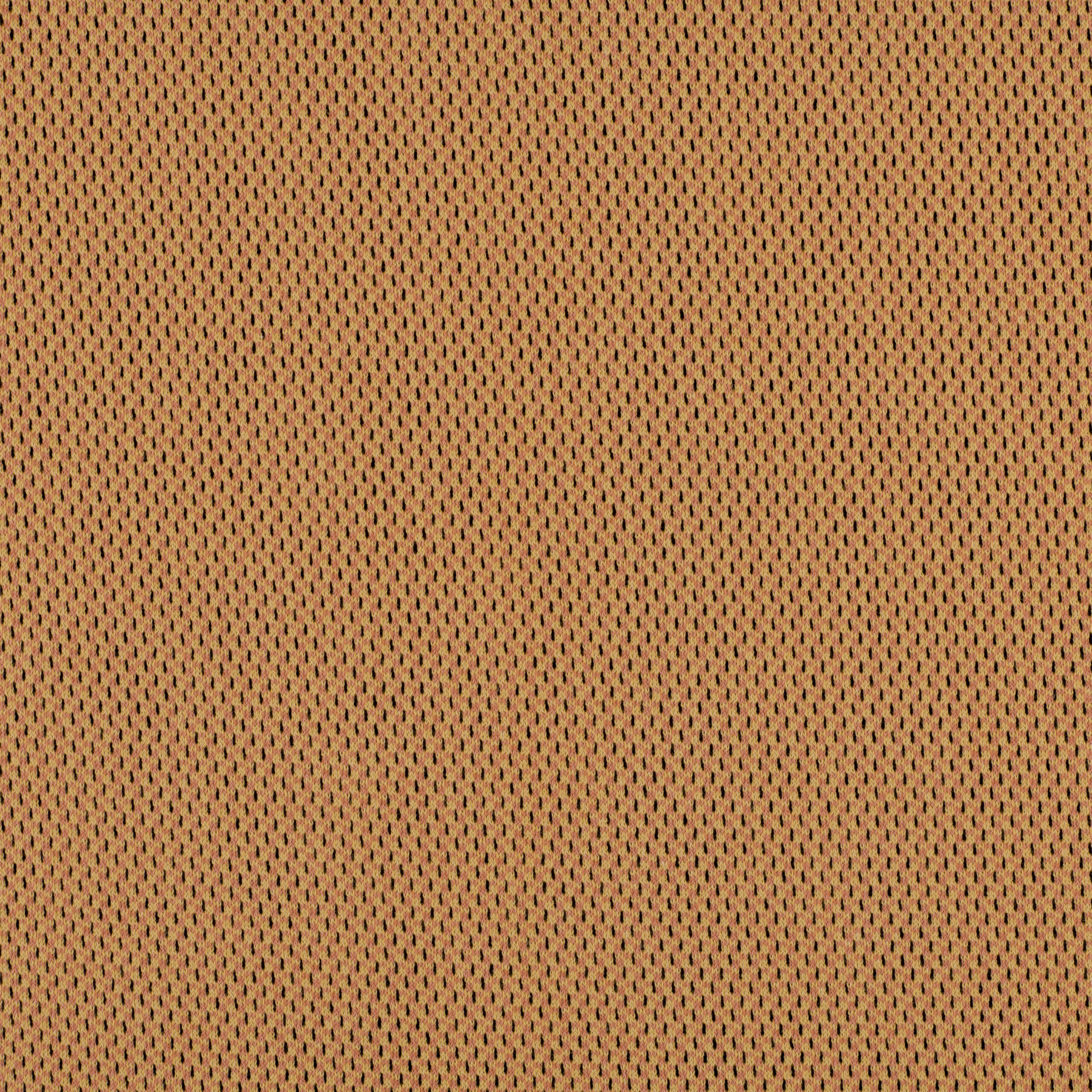 20211_AG_3D_SAUVANNE